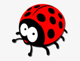 Ladybird