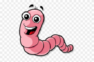Worm